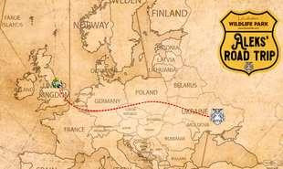 DHL Wildcats Tiger Aleks road trip 310