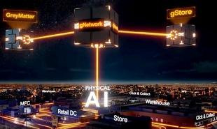 dematic grijsoranje2 310